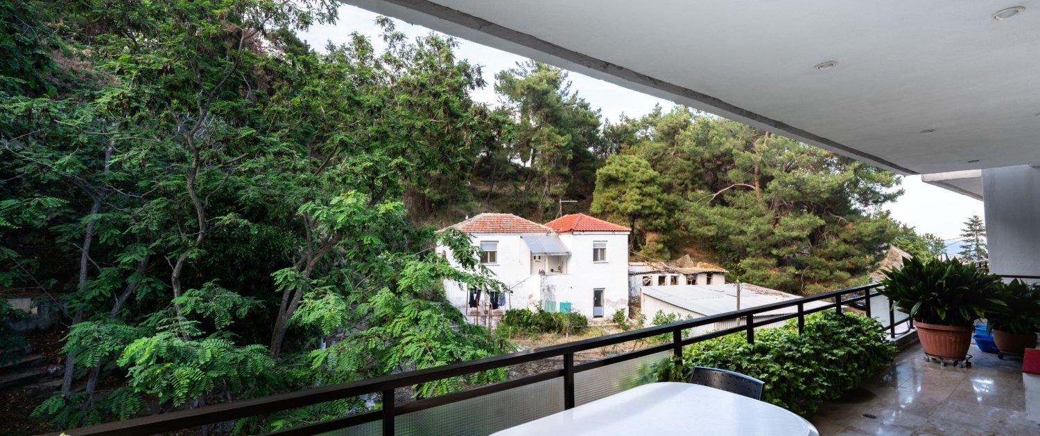 Θέα από το μπαλκόνι που βλέπει Βόρεια